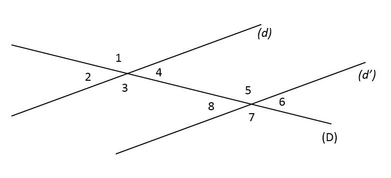 Mathplace exercice_5e_angle01 Exercice 4 : vocabulaire des angles  